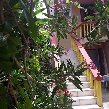Apartman Tatjana ストモレ エクステリア 写真