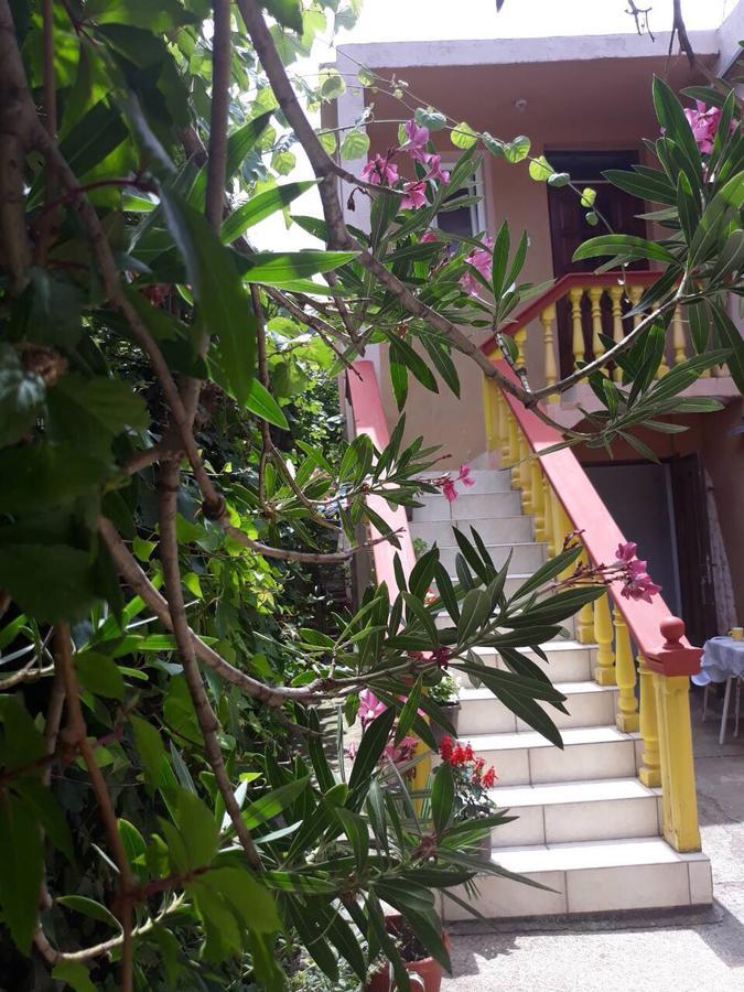 Apartman Tatjana ストモレ エクステリア 写真