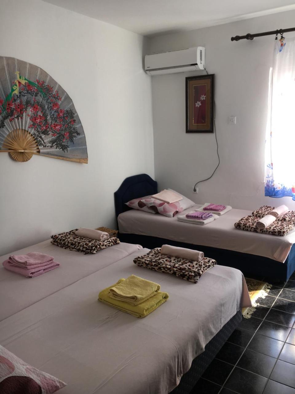 Apartman Tatjana ストモレ エクステリア 写真